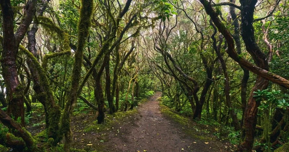 Best Outdoor Activities in Los Angeles: Beaches, Trails & Adventures